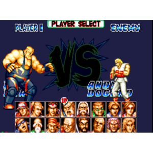 饿狼传说特别版（USA) 